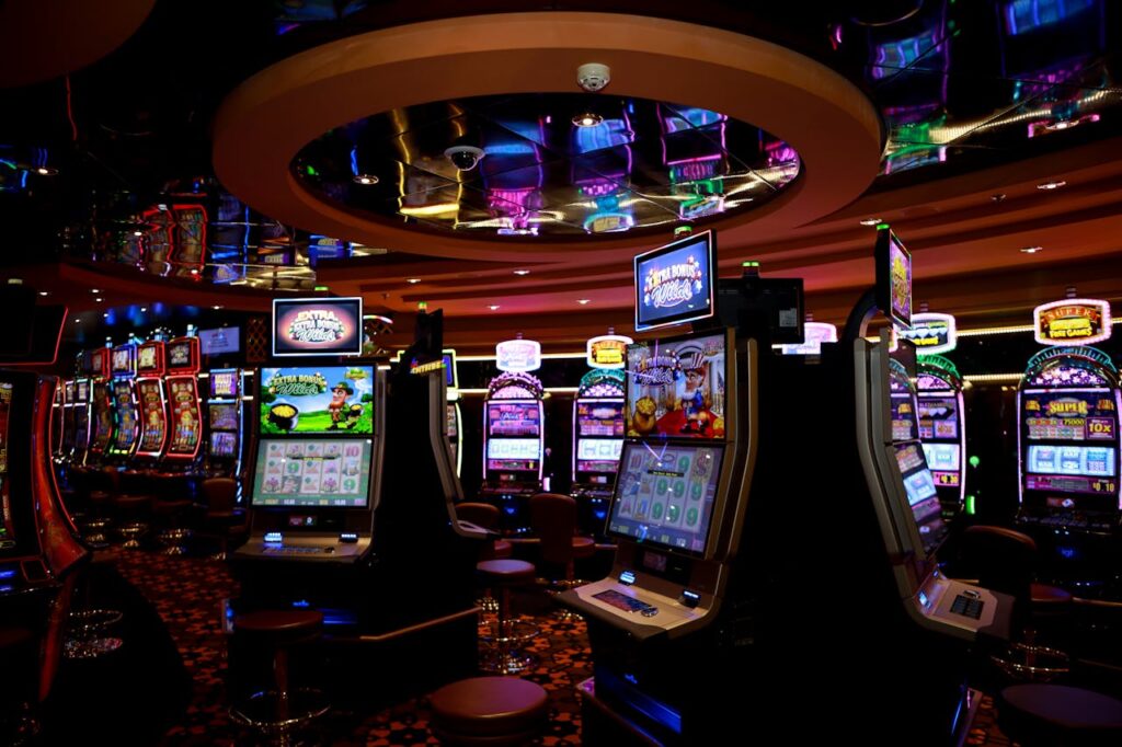 Dubibet 2026